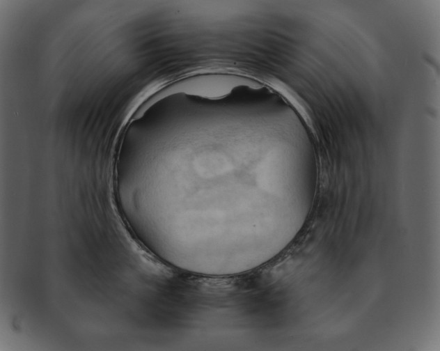 X0000091360861200709071301