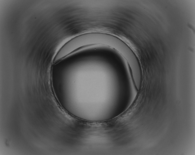 X0000091360862200709071301