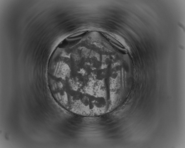 X0000091360863200709071301