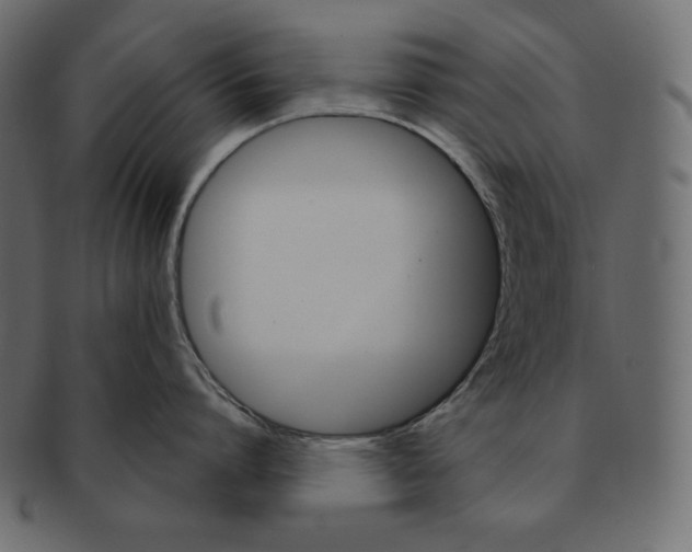 X0000091360864200709071301