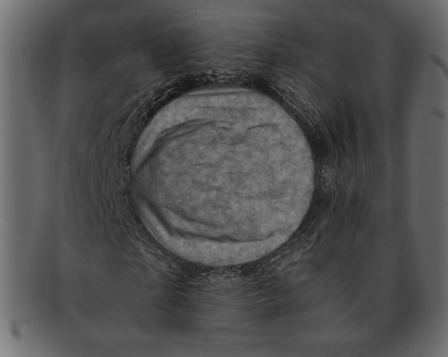 X0000091360865200709071301