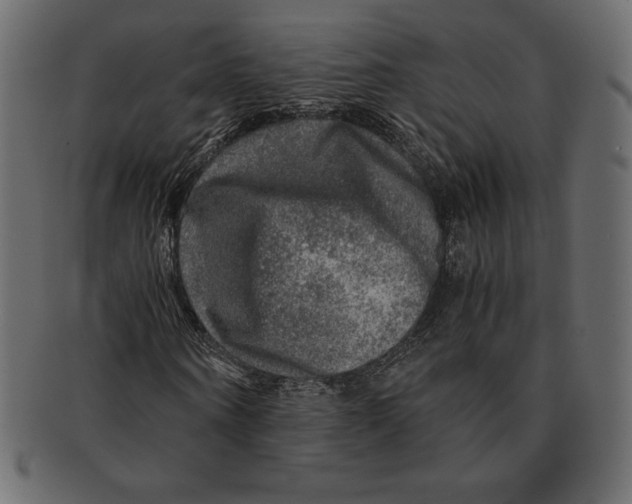 X0000091360866200709071301