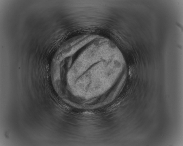 X0000091360867200709071301