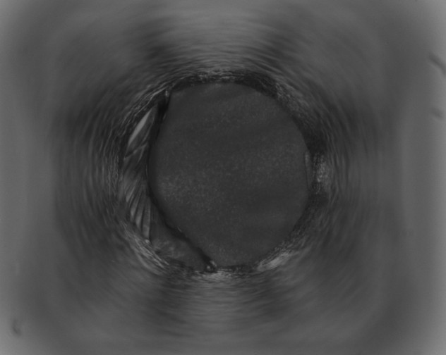 X0000091360868200709071301