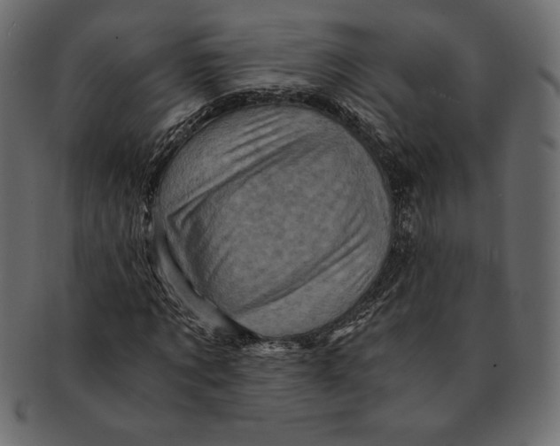 X0000091360869200709071301