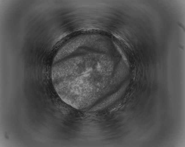 X0000091360870200709071301