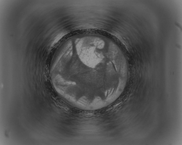 X0000091360871200709071301