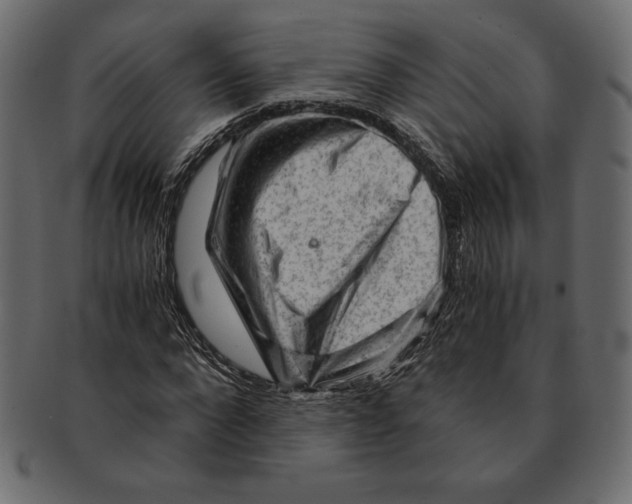 X0000091360872200709071301