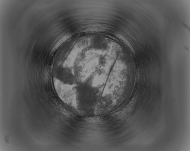 X0000091360874200709071301