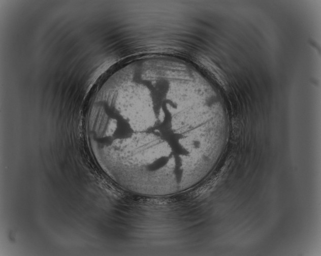 X0000091360875200709071301