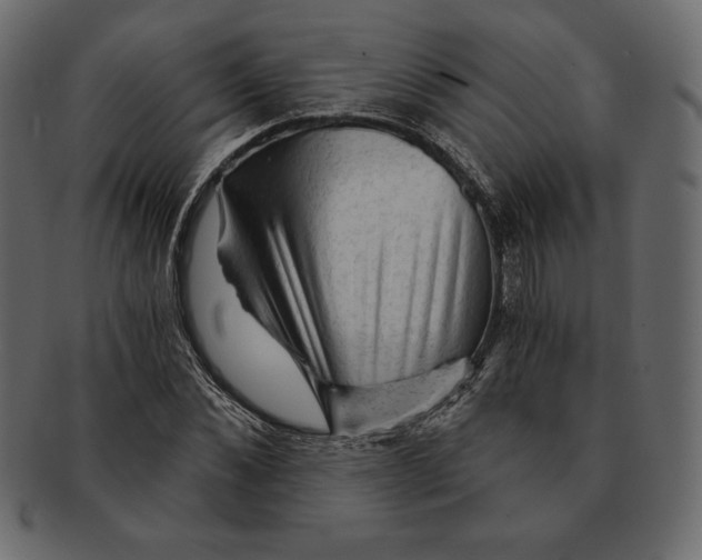 X0000091360876200709071301