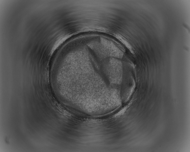 X0000091360877200709071301