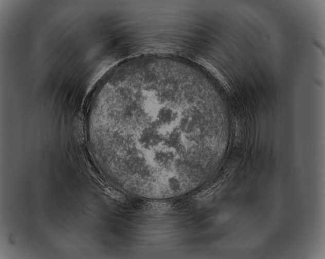 X0000091360878200709071300