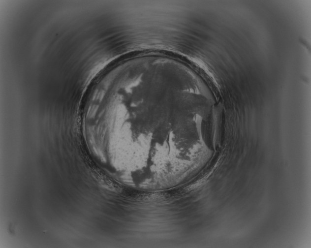 X0000091360879200709071300