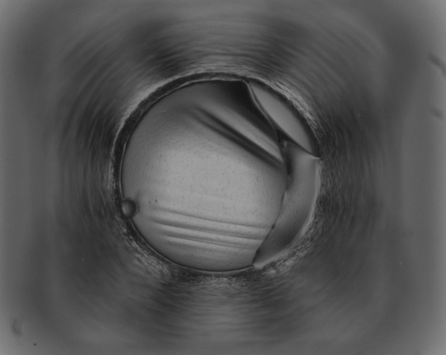 X0000091360880200709071300