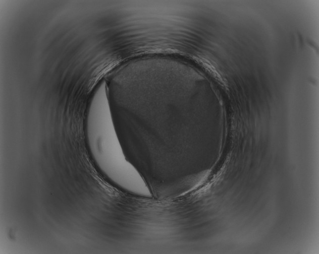 X0000091360881200709071300