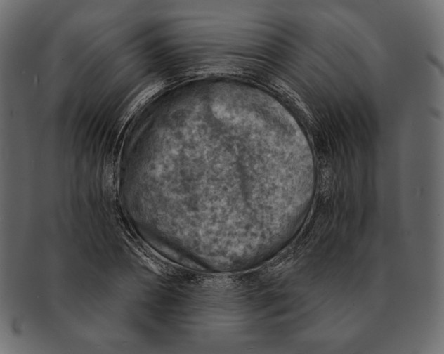 X0000091360882200709071300