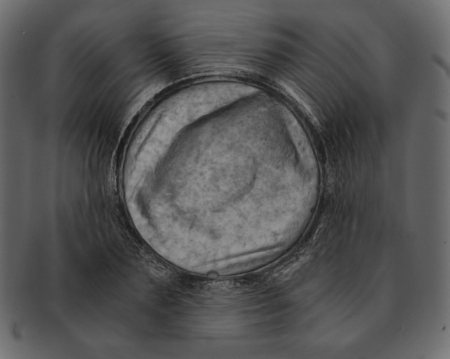 X0000091360883200709071300