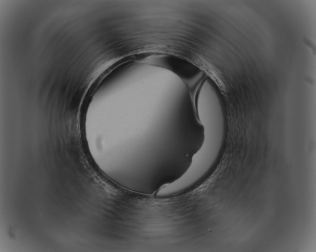 X0000091360884200709071300