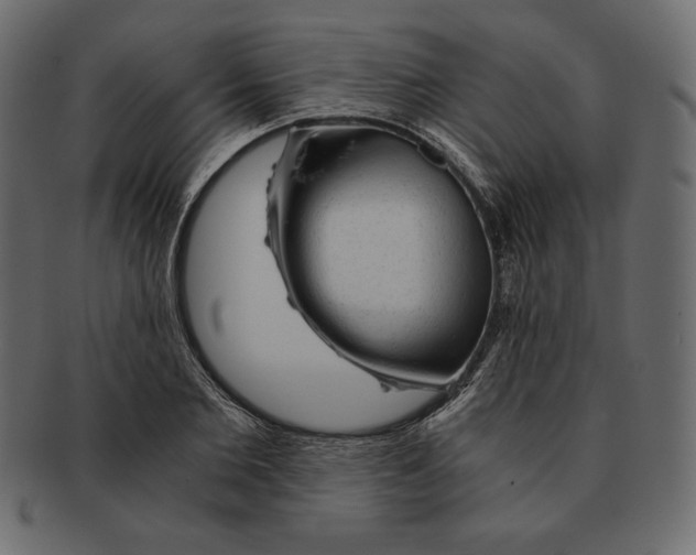 X0000091360885200709071300