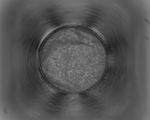 X0000091360886200709071300