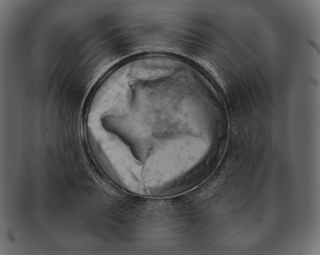 X0000091360887200709071300