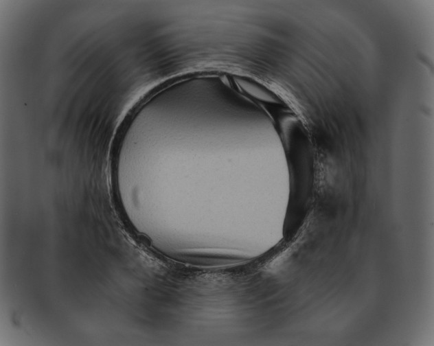 X0000091360888200709071300