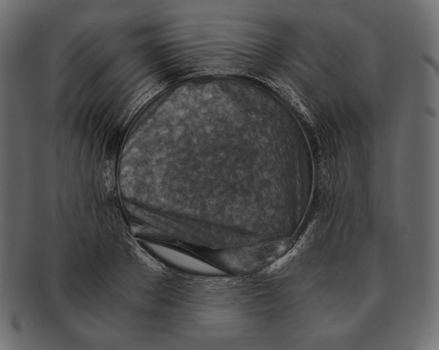 X0000091360889200709071300