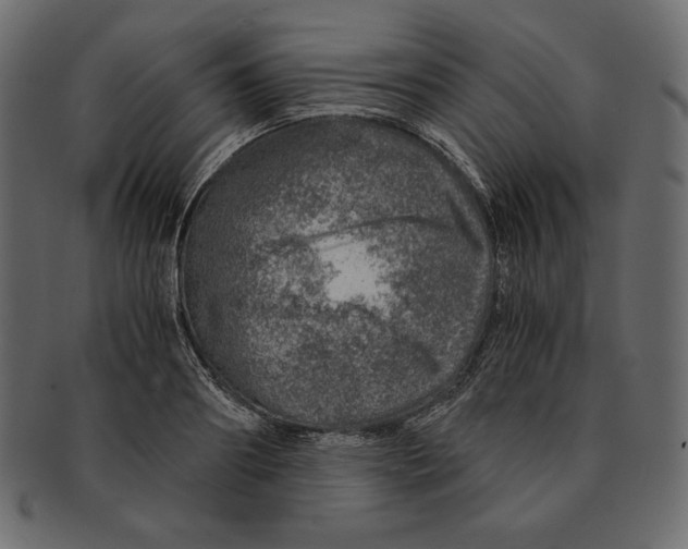 X0000091360890200709071300