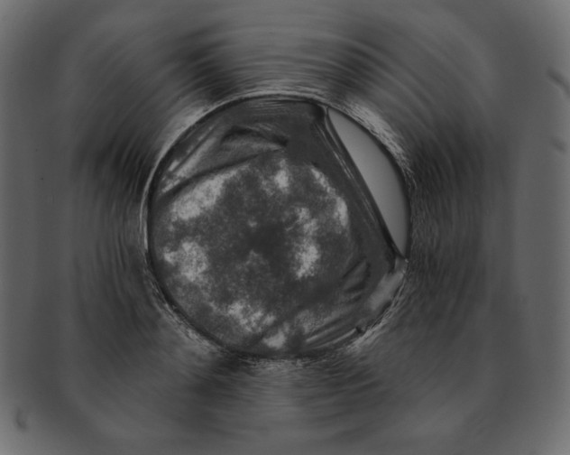 X0000091360892200709071300