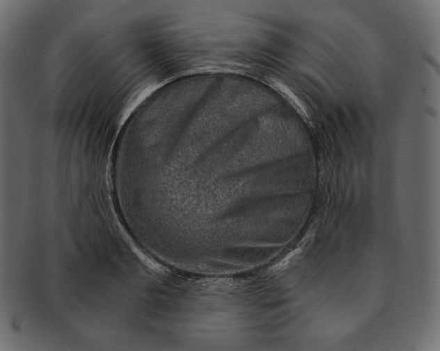 X0000091360893200709071300