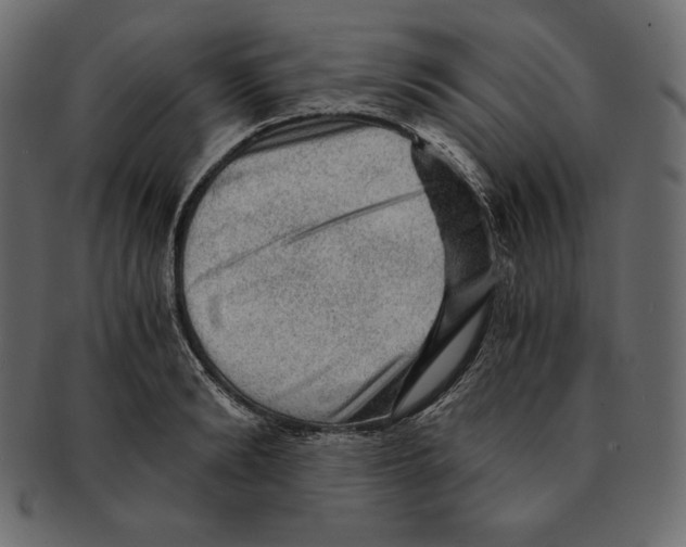 X0000091360894200709071300