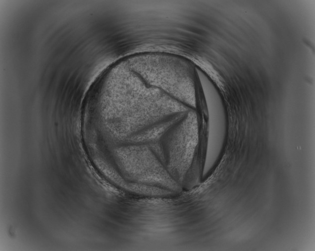 X0000091360896200709071300