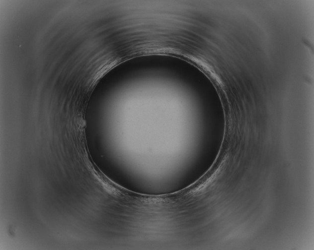 X0000091360897200709071300