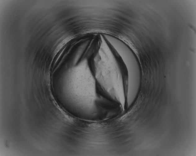 X0000091360898200709071300