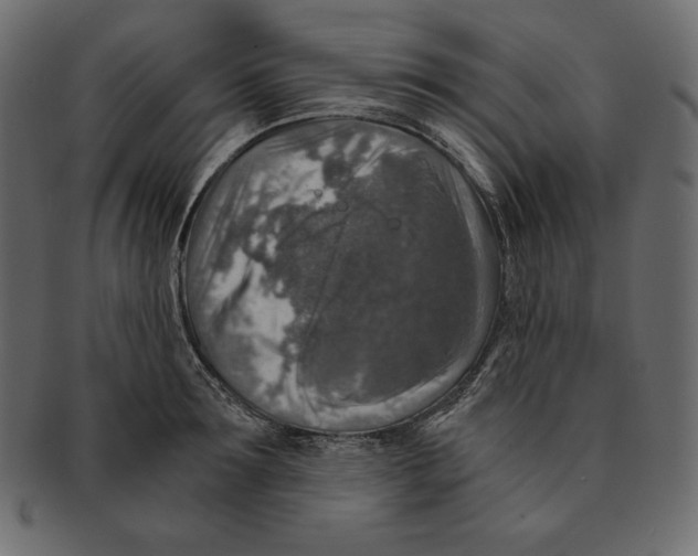 X0000091360899200709071300