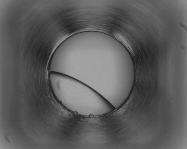 X0000091360900200709071300