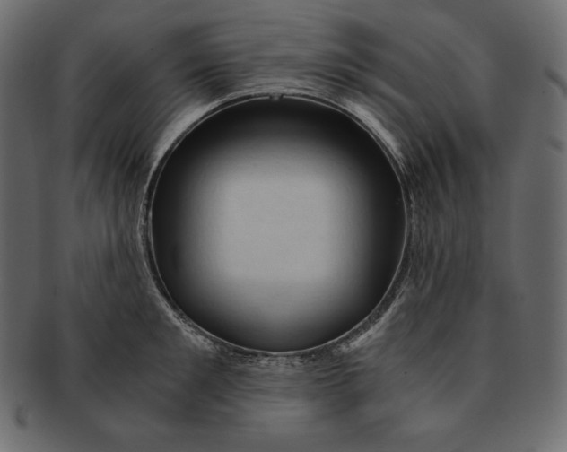 X0000091360901200709071300