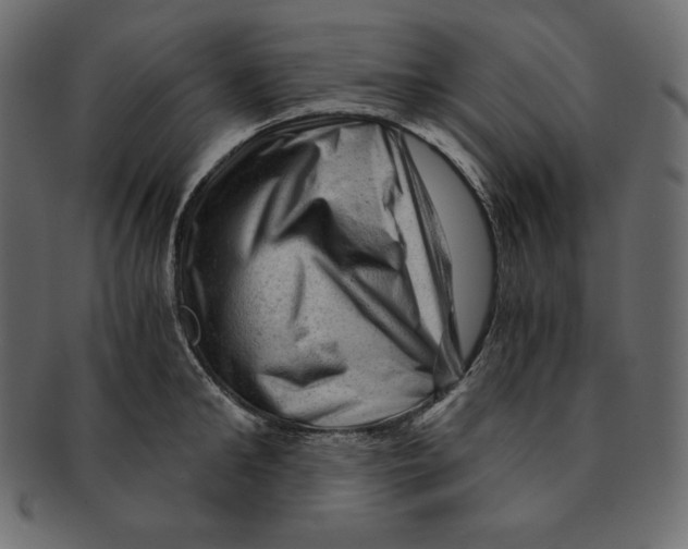 X0000091360902200709071300