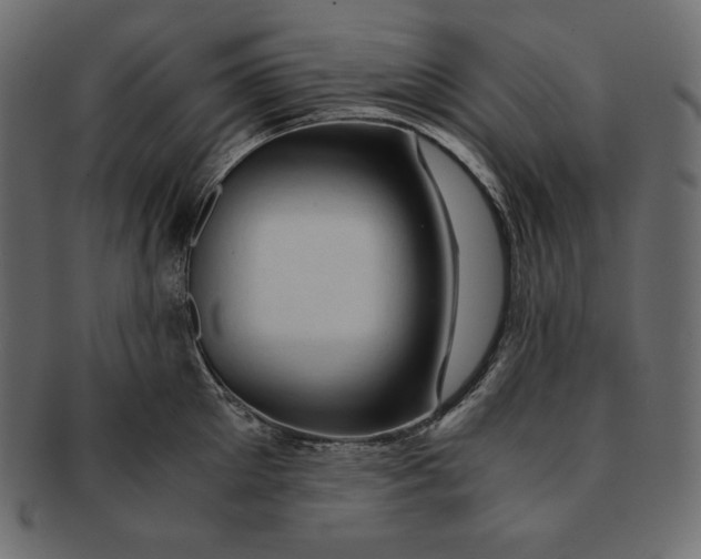 X0000091360905200709071300