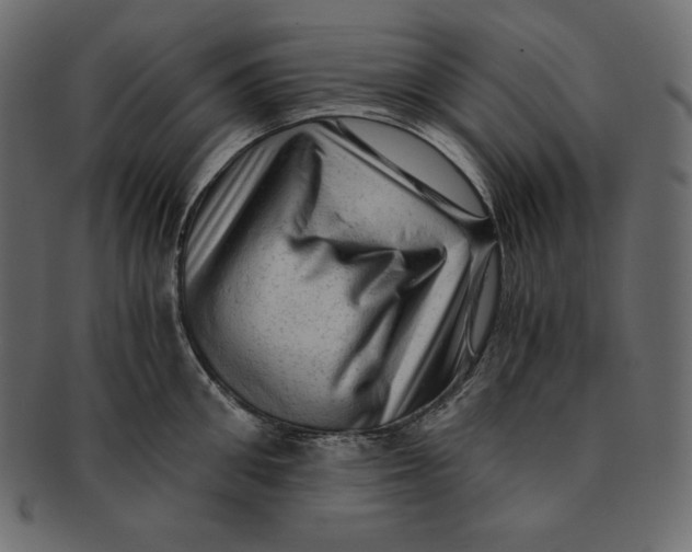 X0000091360906200709071300