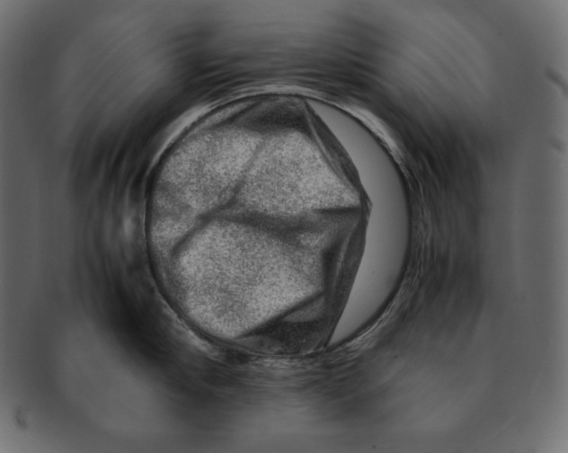 X0000091360910200709071300