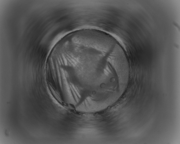 X0000091360911200709071300