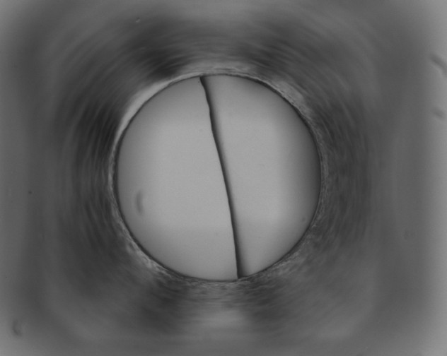 X0000091360912200709071300