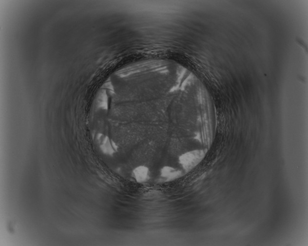 X0000091360913200709071259