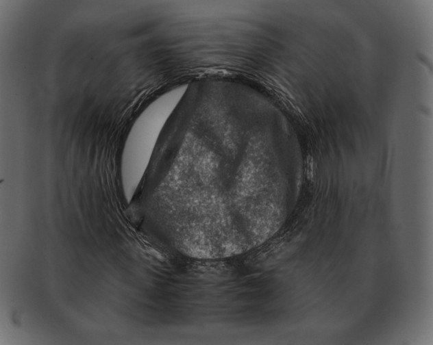 X0000091360915200709071259