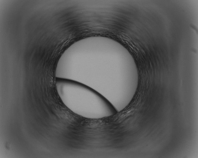 X0000091360916200709071259