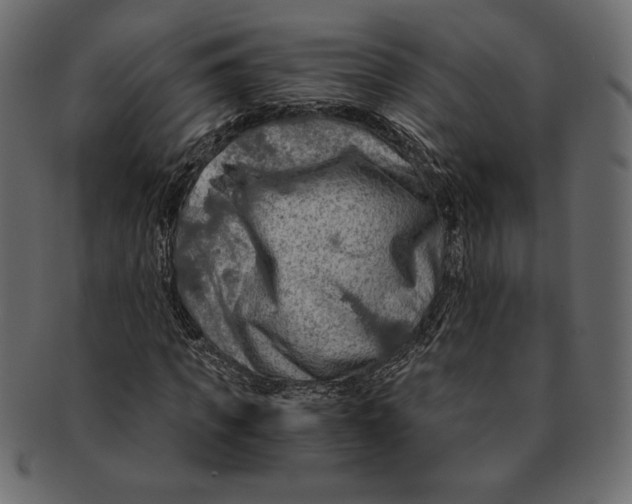 X0000091360917200709071259