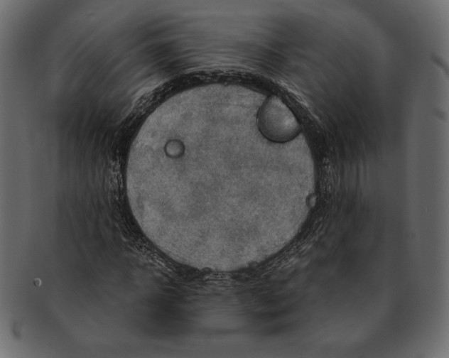 X0000091360918200709071259