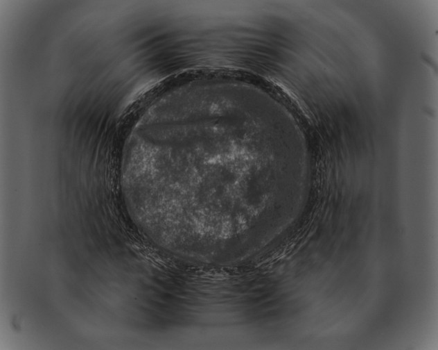 X0000091360919200709071259